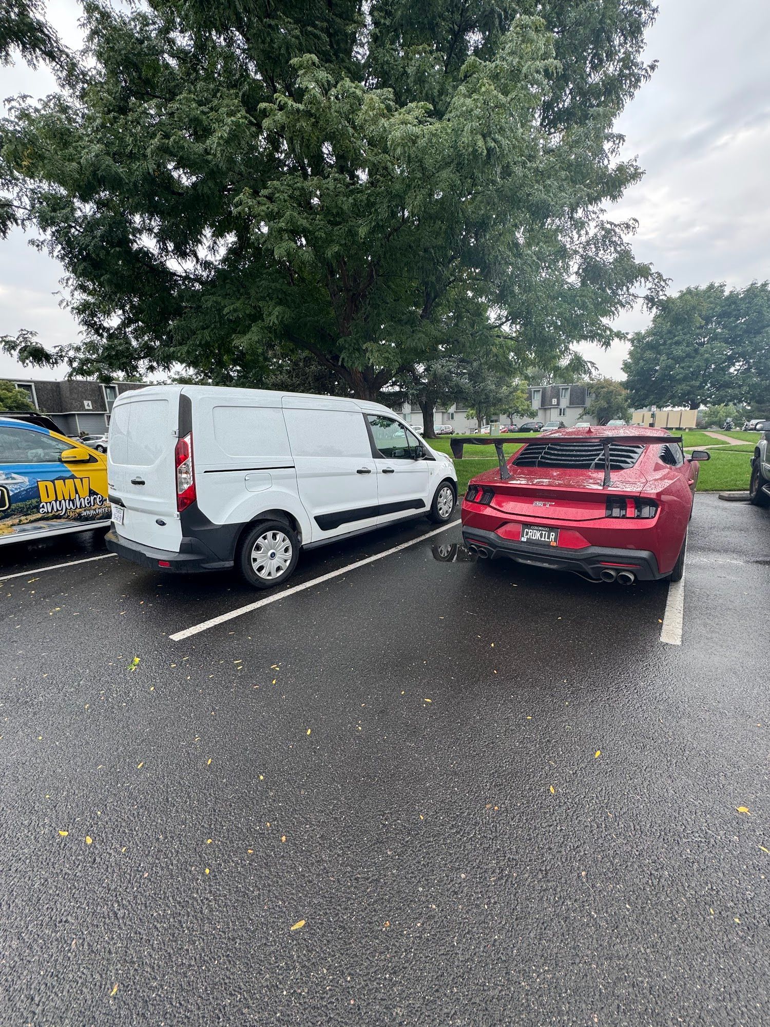 White van and red sports car parked in a lot under a tree on a wet day.