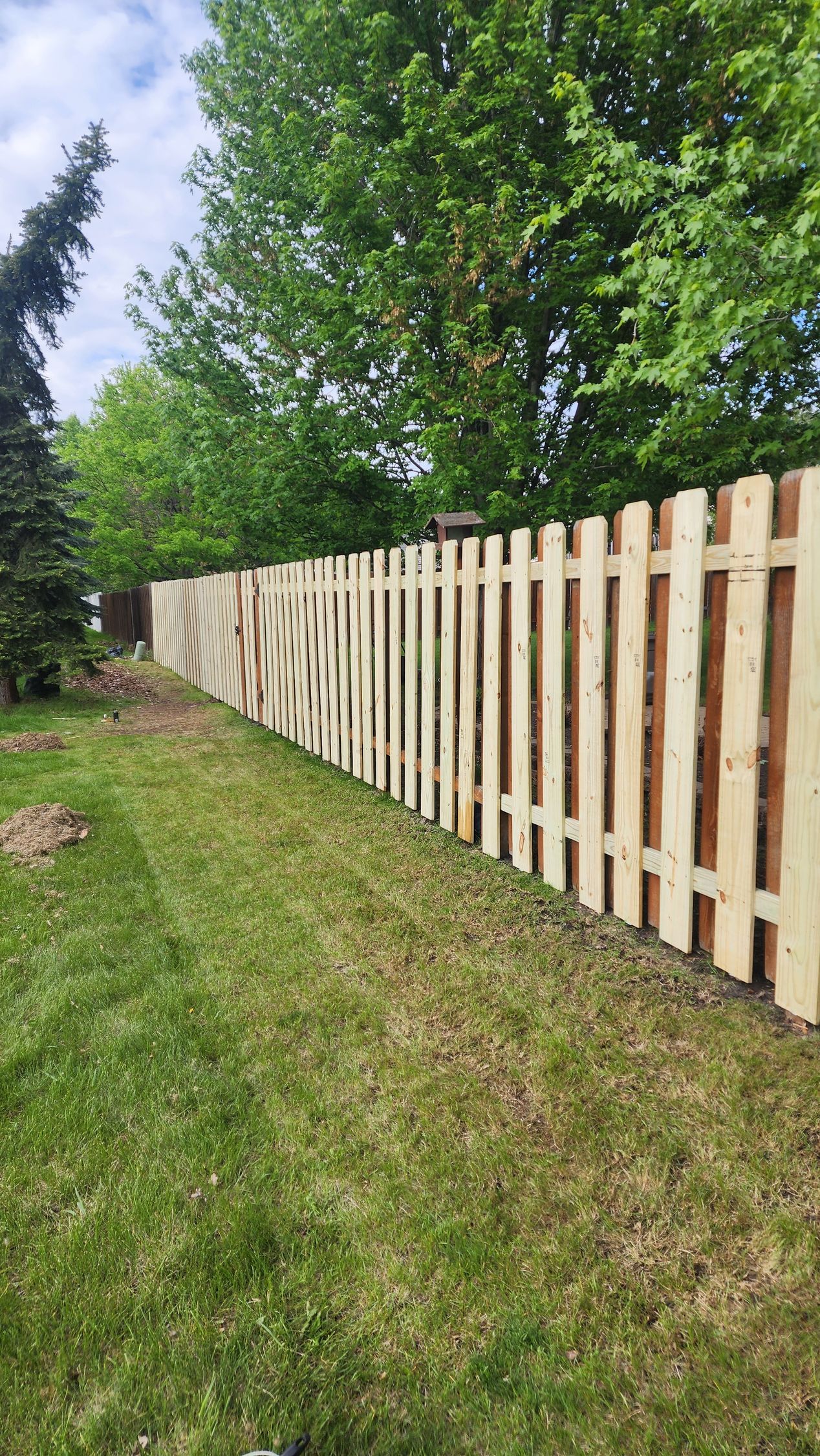 A light-colored wooden fence runs along a green lawn, with trees in the background.
