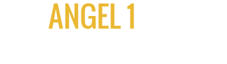 Angel 1 Transportation & Tours