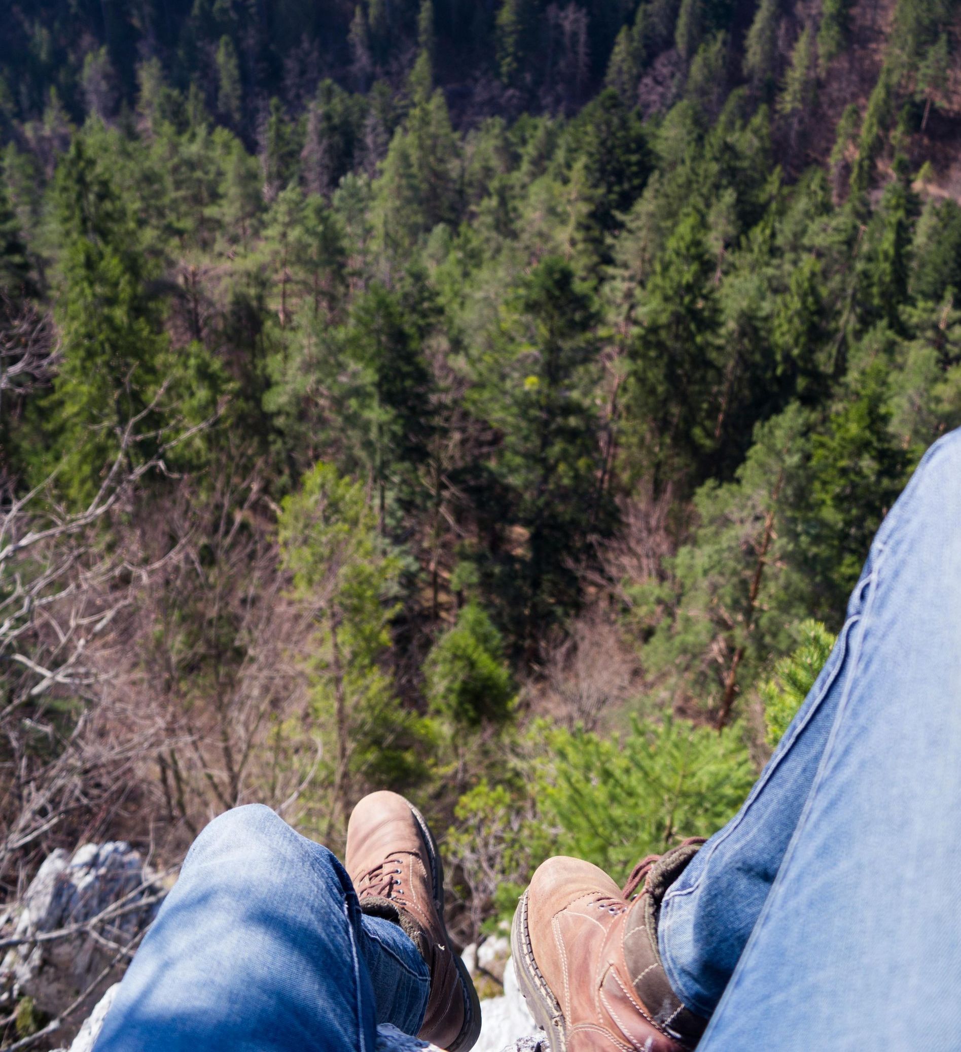 A person is sitting on the edge of a cliff overlooking a forest.