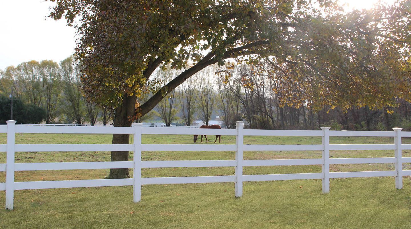 White fence across grassy field under a large tree with a small horse in the distance
