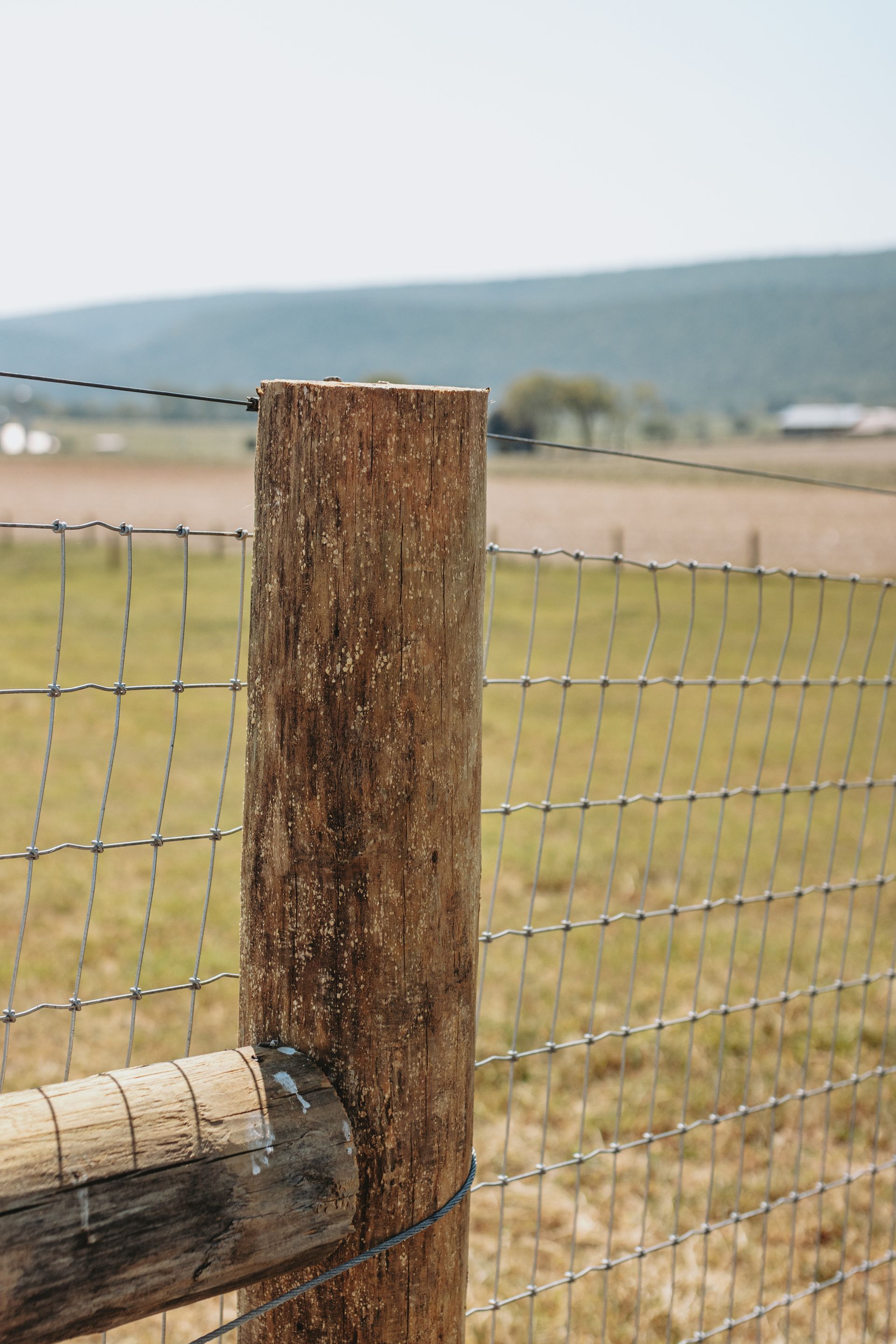 Wooden fence post in a field, with wire mesh and barbed wire, green grass, and a blurry background.