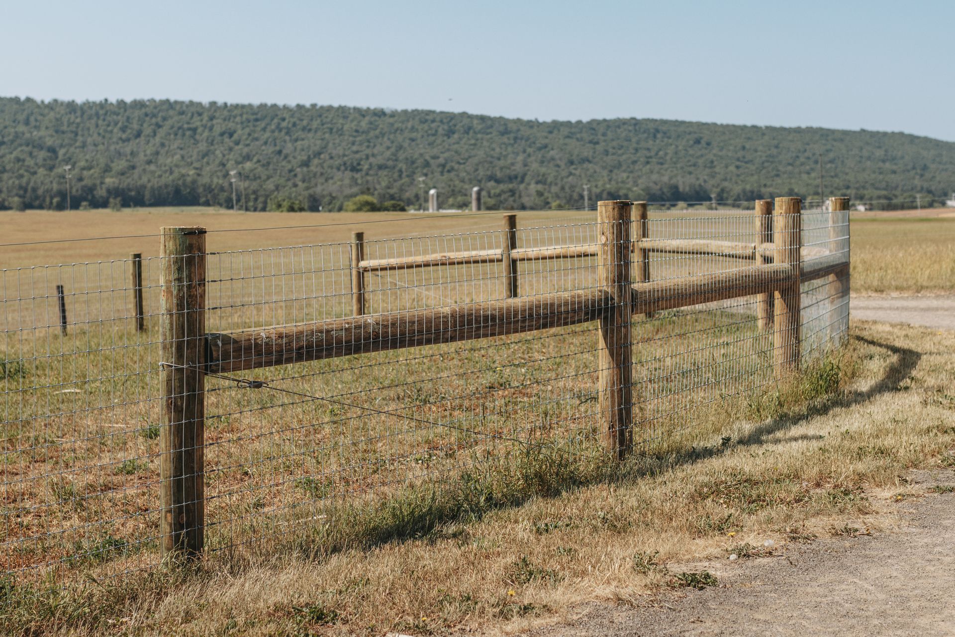 Dog fencing options in central pennsylvania 