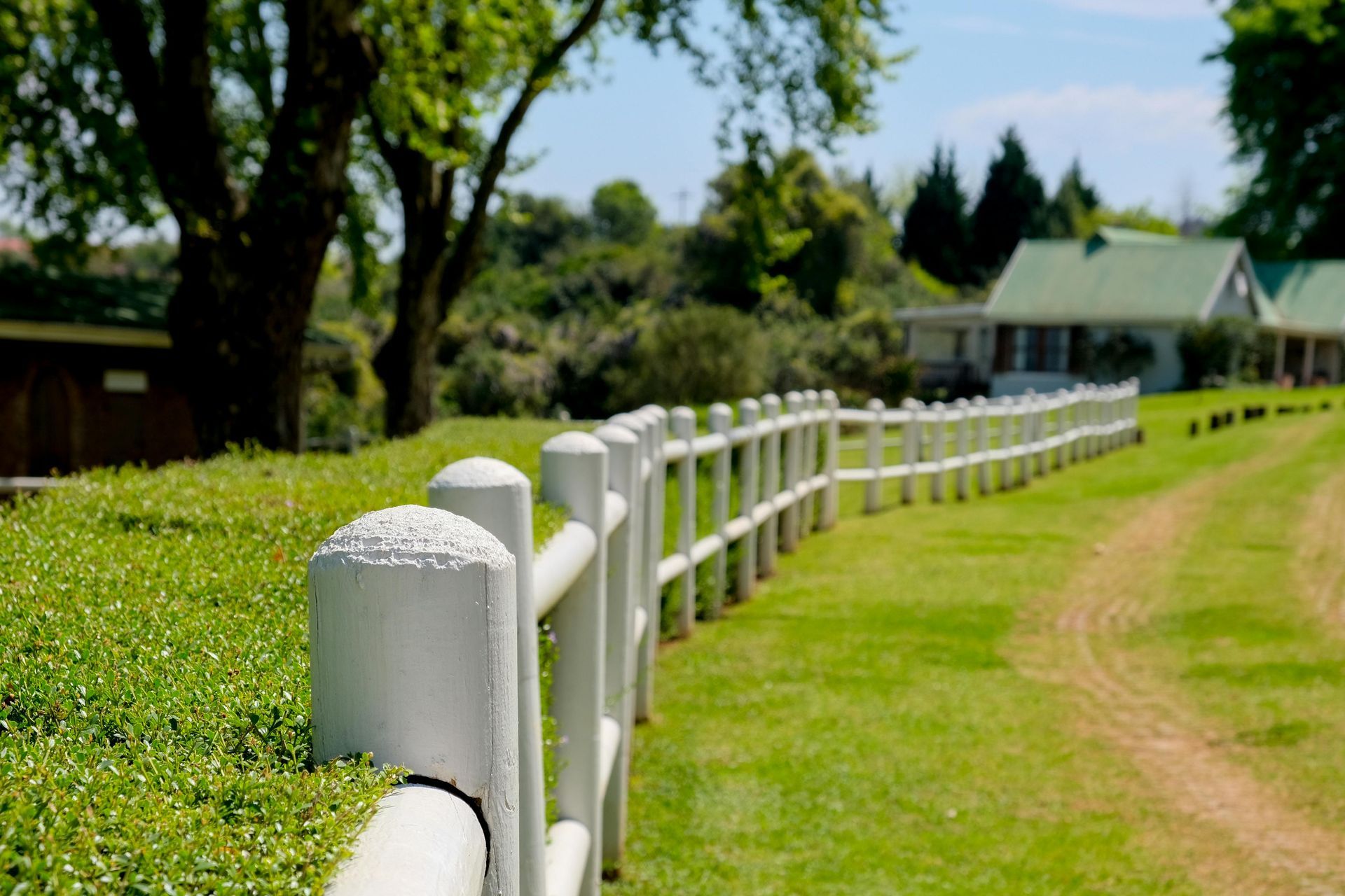 white picket fence in state college 