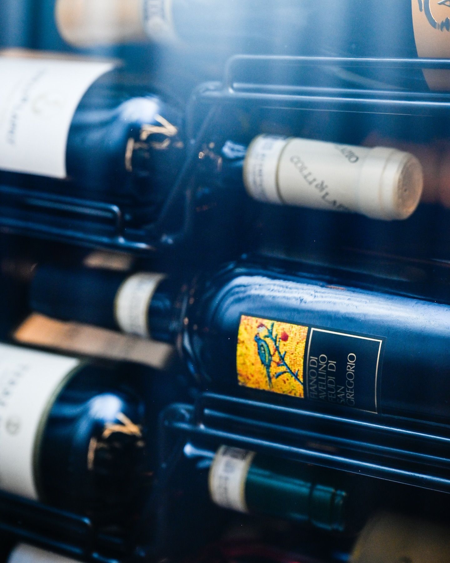 Diverse bottiglie di vino sono allineate su uno scaffale, tra cui una bottiglia di Columbia