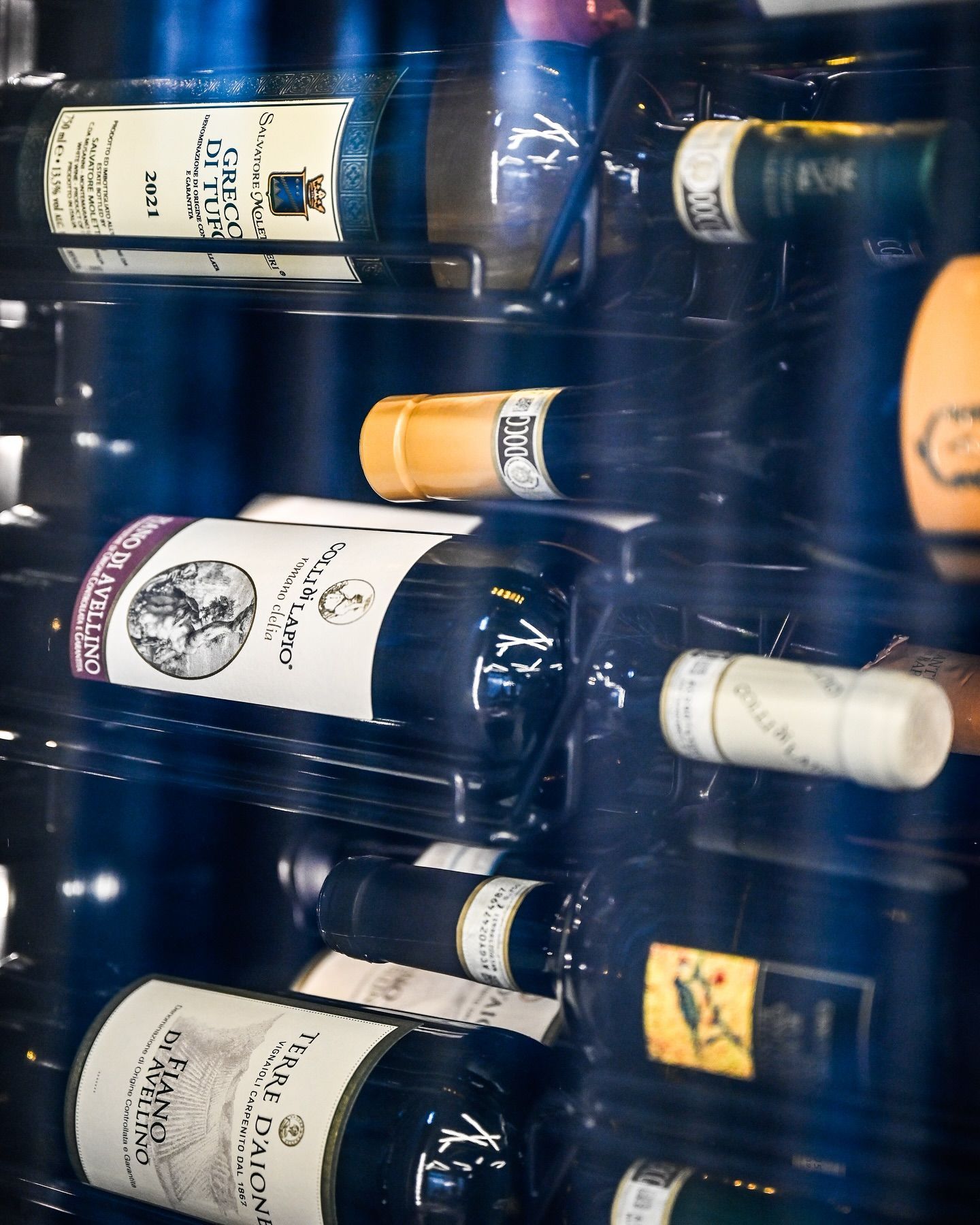 Diverse bottiglie di vino sono allineate in un refrigeratore per vino