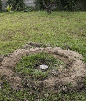 A circle of dirt in the middle of a grassy field