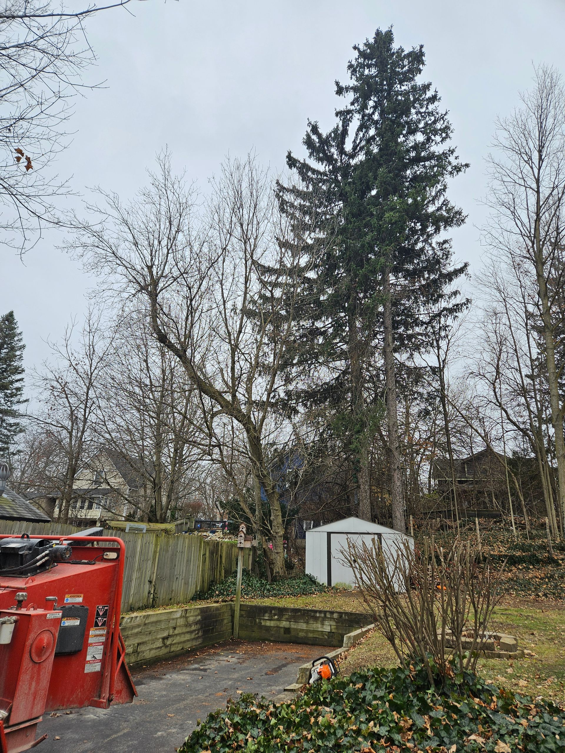 A red machine is cutting a tree in a yard.