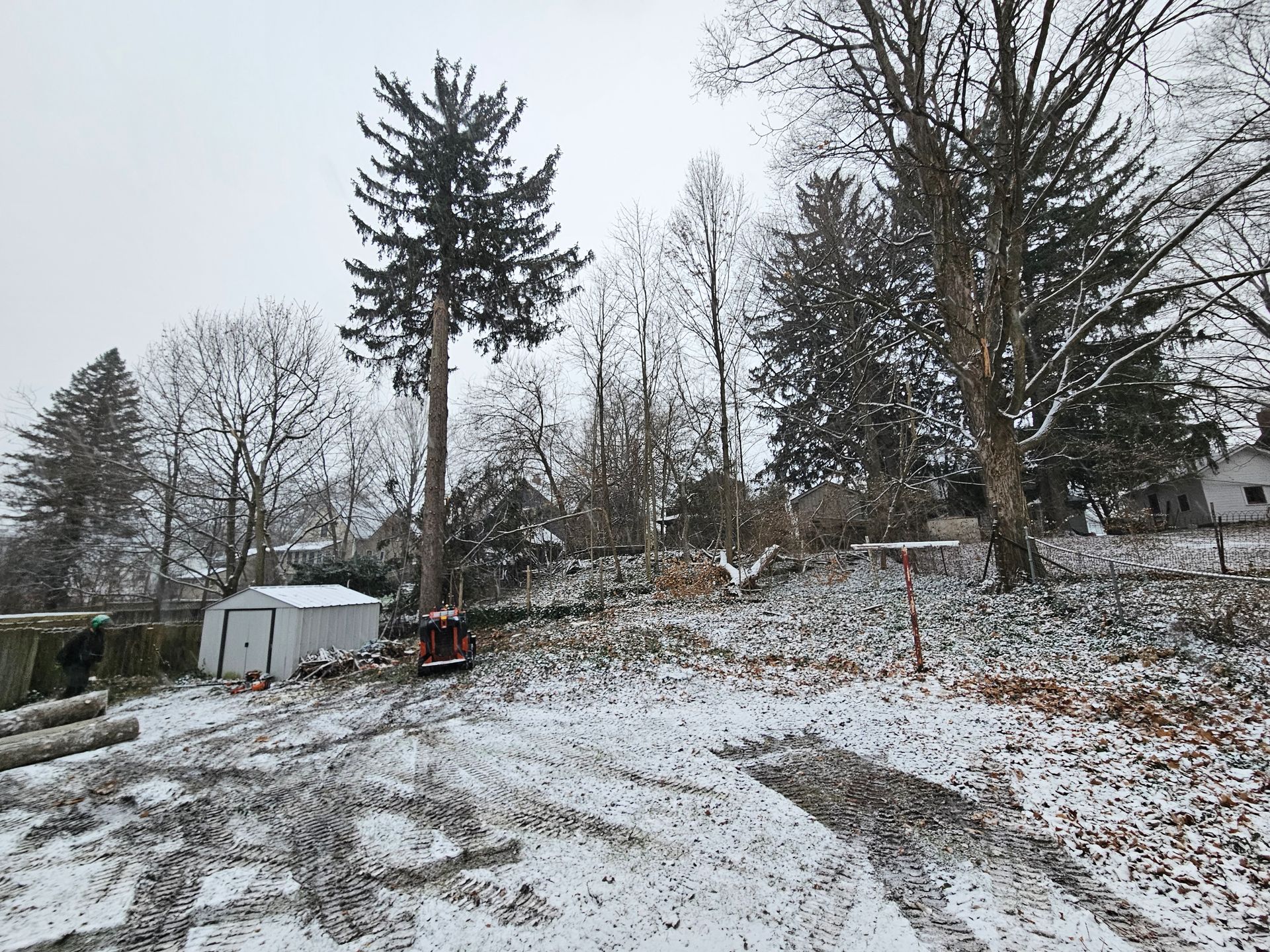 A snowy yard with trees and a shed in the background.