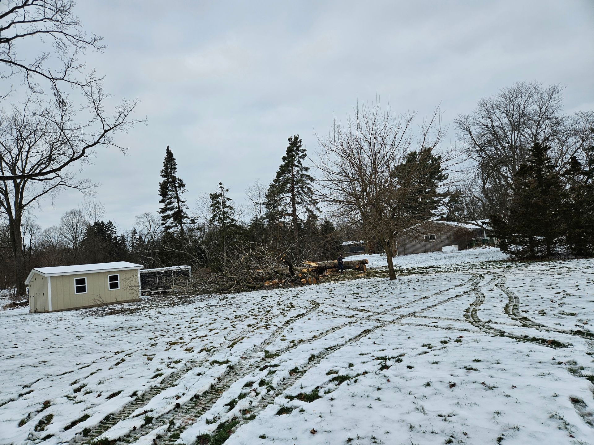 A snowy field with a shed and trees in the background