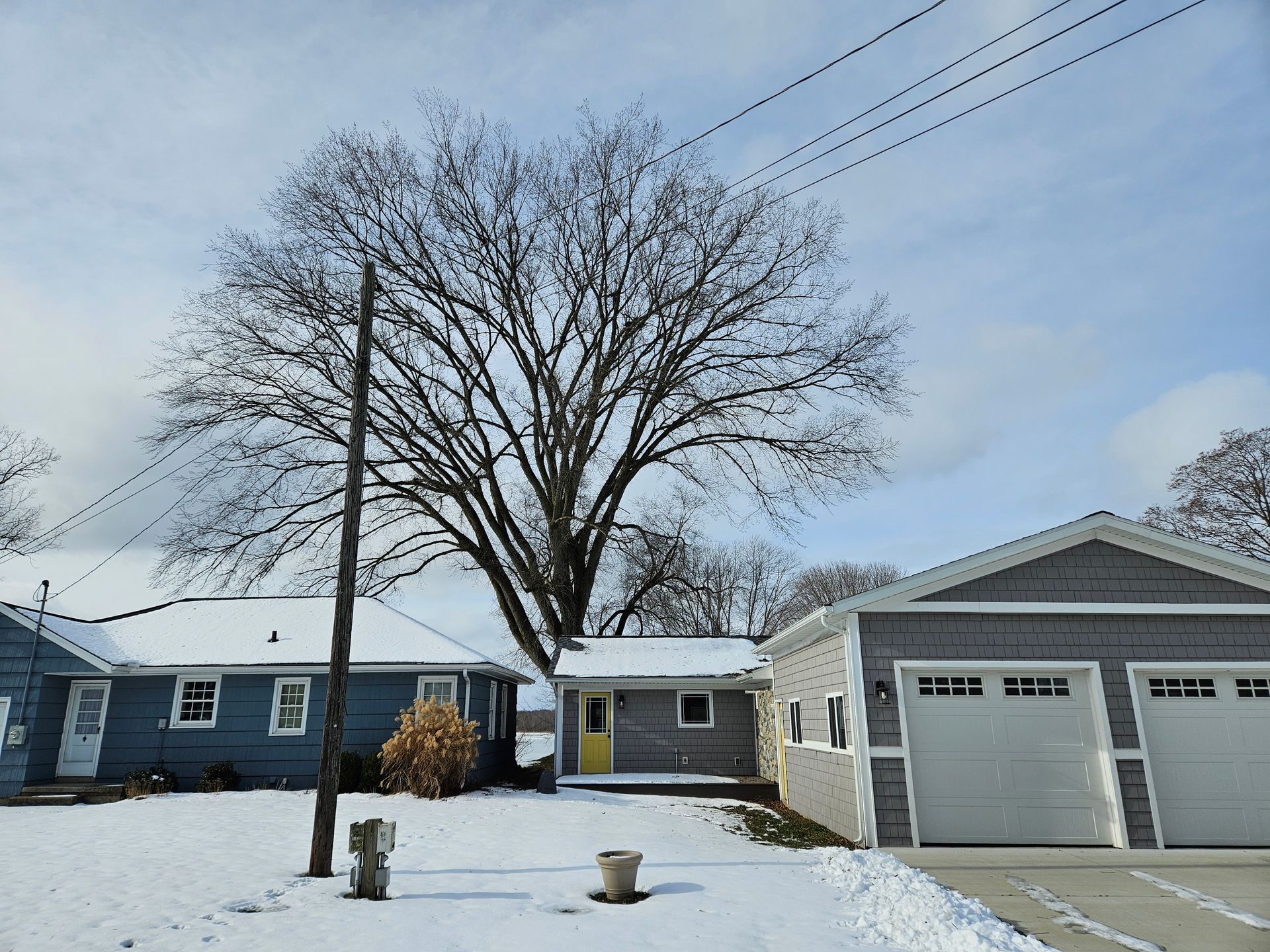 A snowy house with a tree in front of it