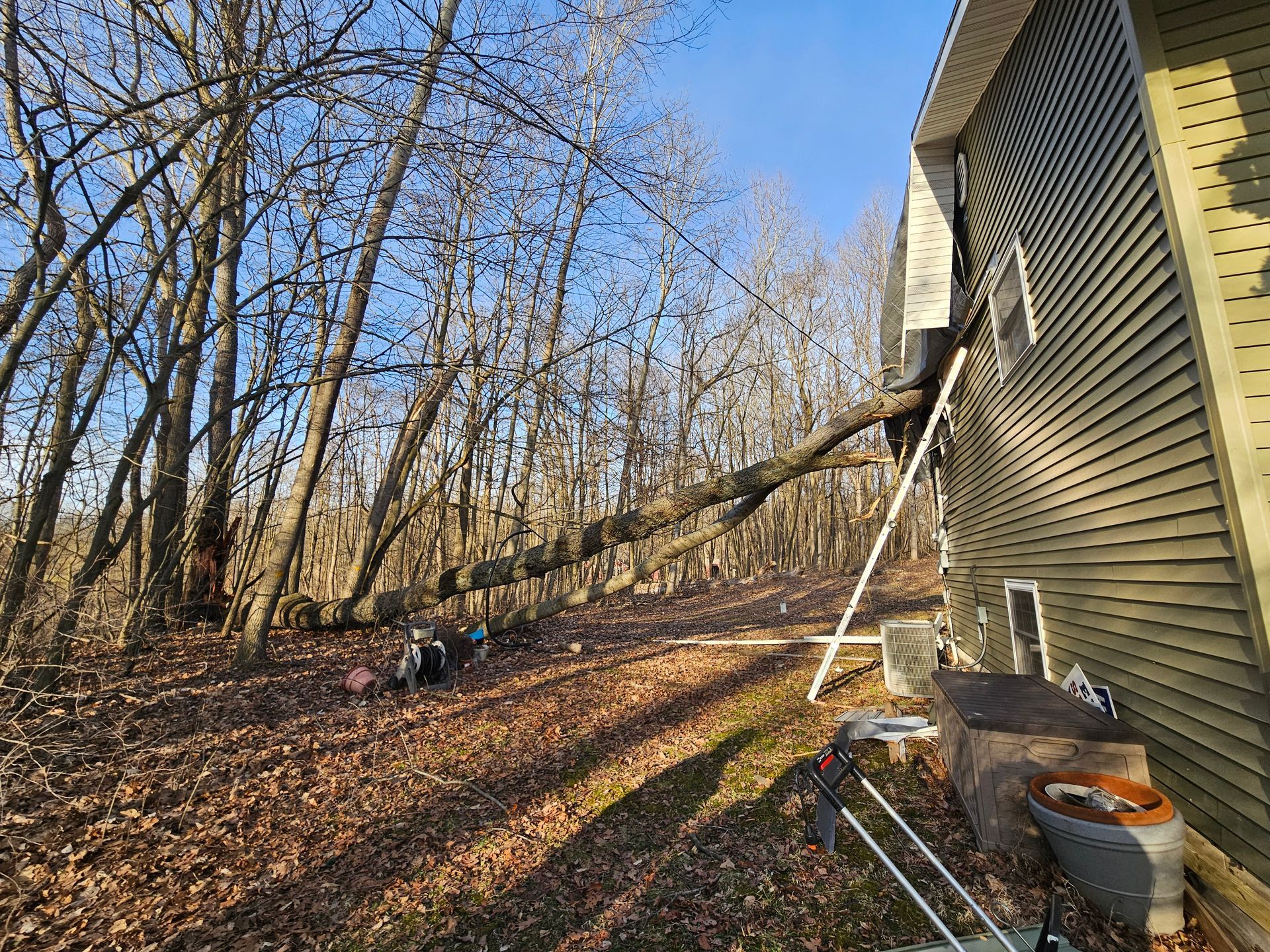 A tree has fallen on the side of a house in the woods.