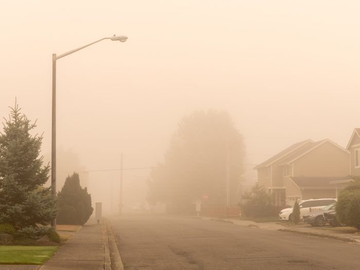 A foggy street with houses and trees in the background.