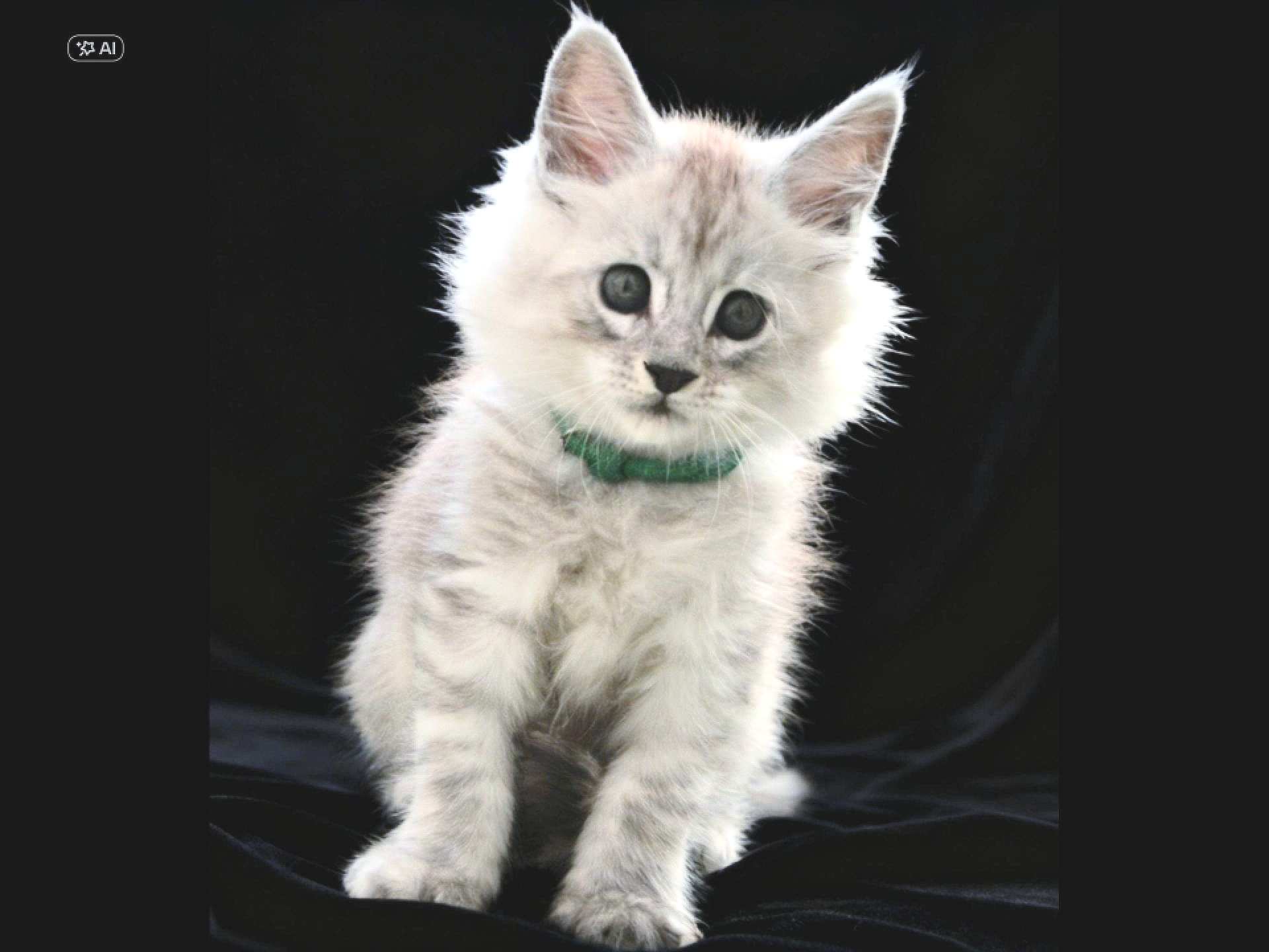 chatterie le geant des glace dans le 30