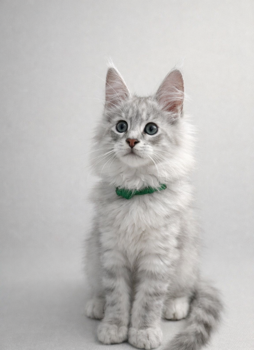 chatterie le geant des glace dans le 30