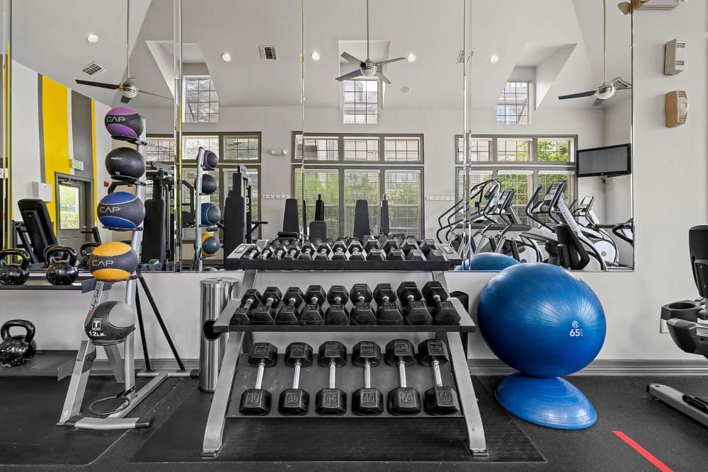 A lot of dumbbells and a blue ball in the apartment fitness center at Marquis at Town Centre in Broomfield, CO.