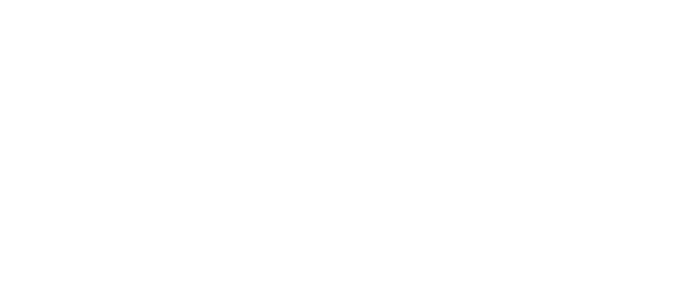 White horizontal banner with a thin black line and a light gray band across the center.