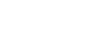 White horizontal banner with a thin black line and a light gray band across the center.