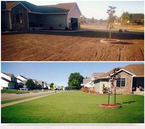 before and after grass installation