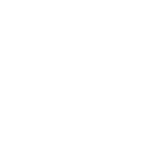 Icon - Phone