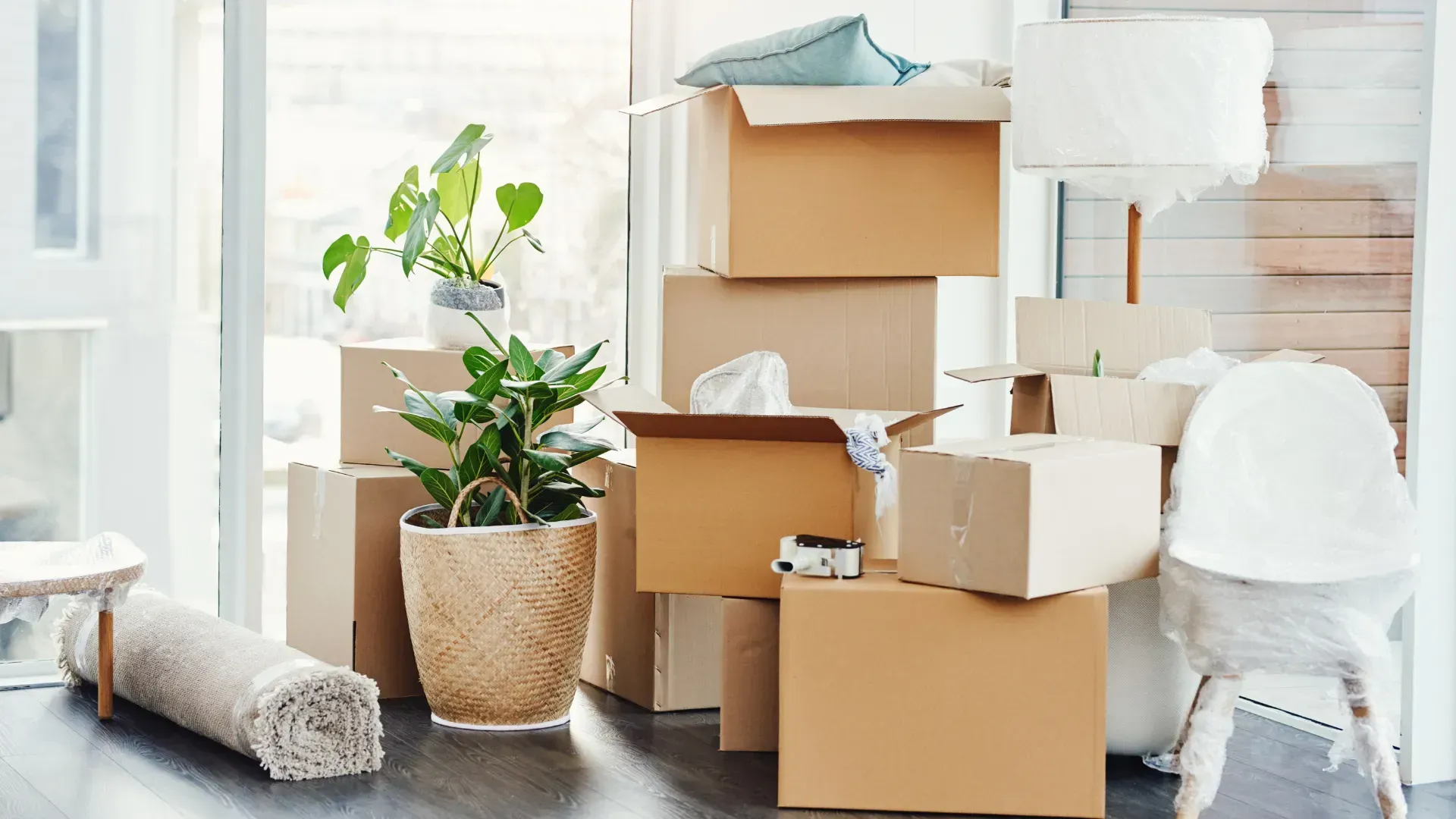 Boxes stacked in a room, plant, rug, chair wrapped in plastic; moving day.