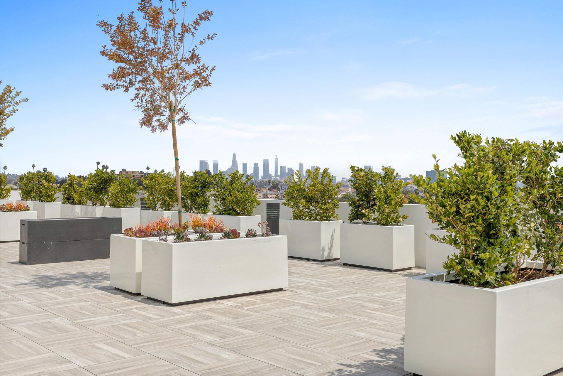 Rooftop with white planters holding green plants and small trees. City skyline visible in the distance.