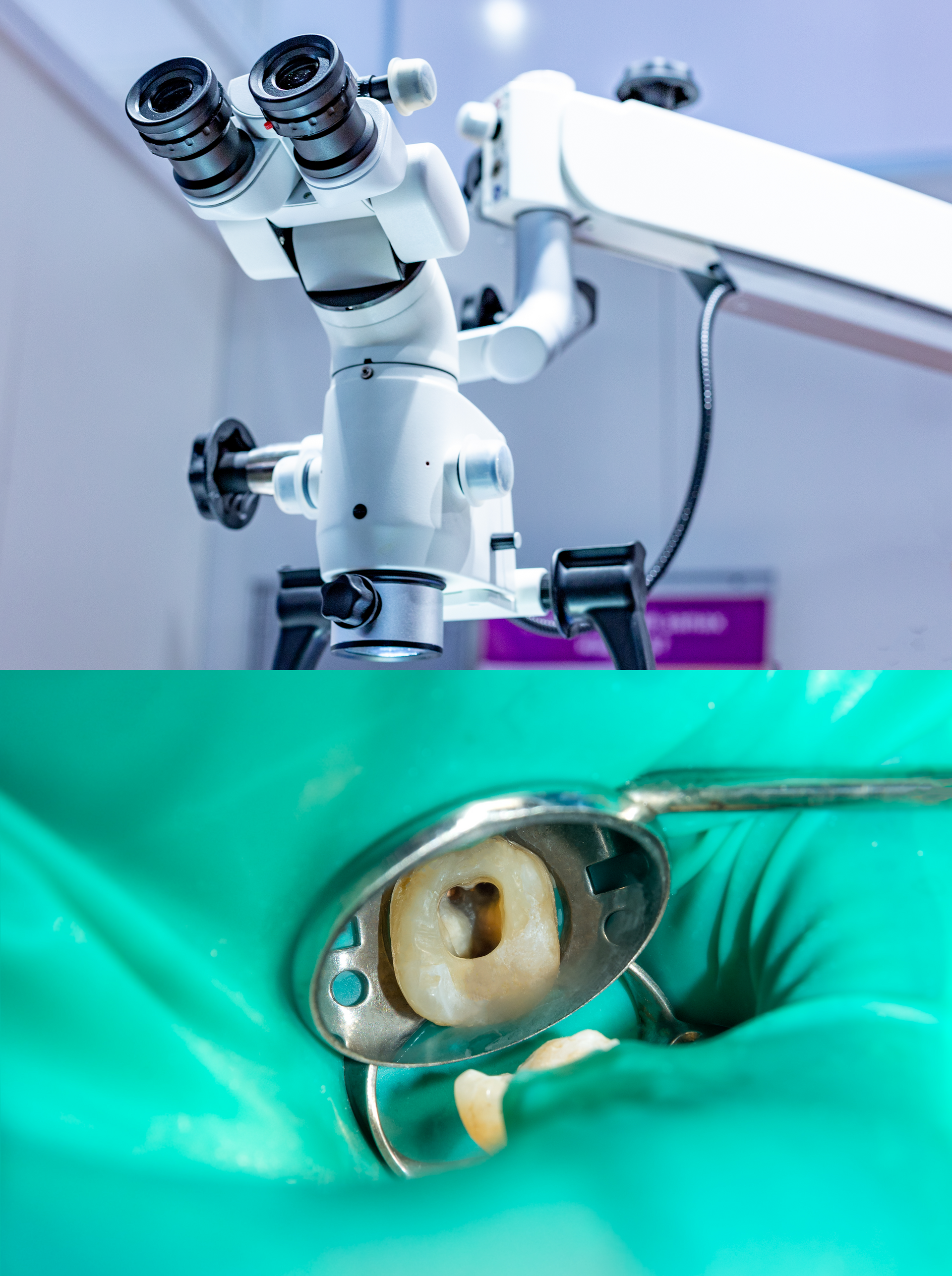 Endodonzia