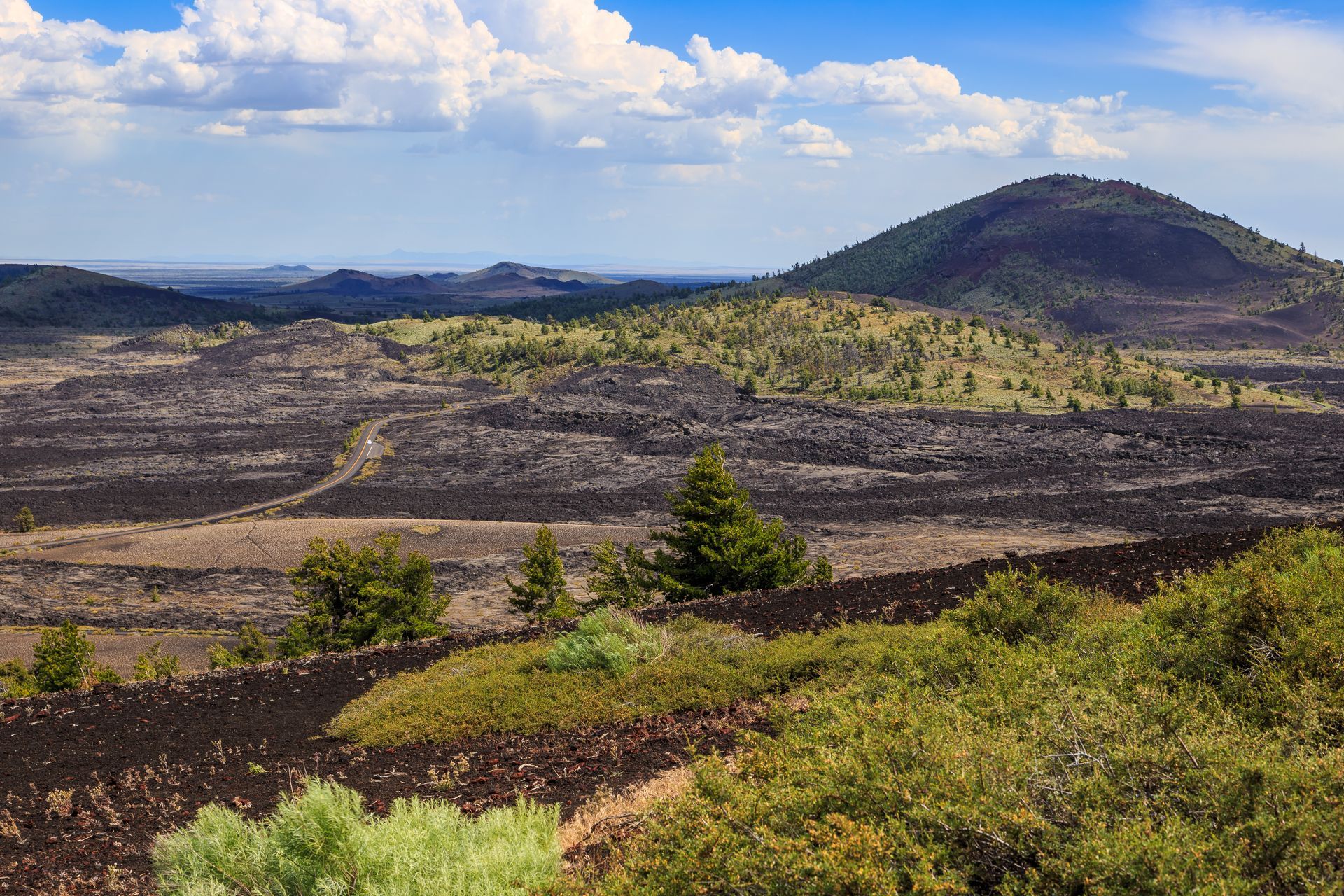 A landscape of a desert with mountains in the background and trees in the foreground.