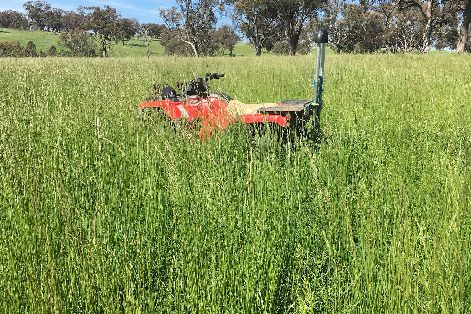 Tractor in the long grass