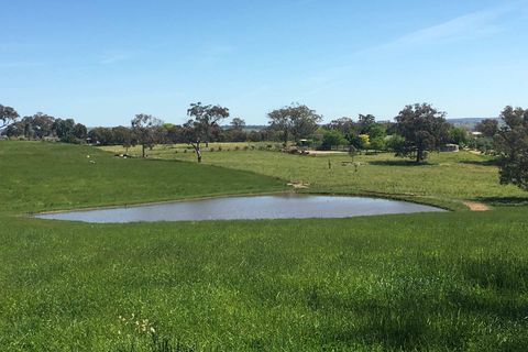 Picture of little lake in field