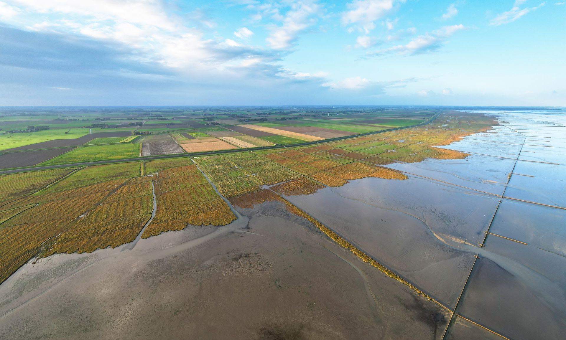 Bonifiche e campionamenti