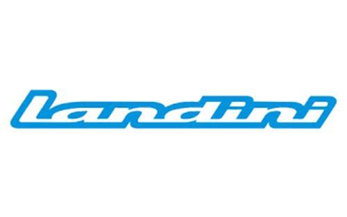 Landini
