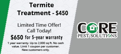 A poster for core pest solutions advertising termite treatment.