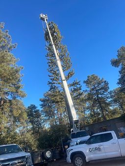 A white truck with a crane attached to it is parked in front of a tree.