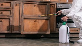 A person is spraying a kitchen with a spray bottle.