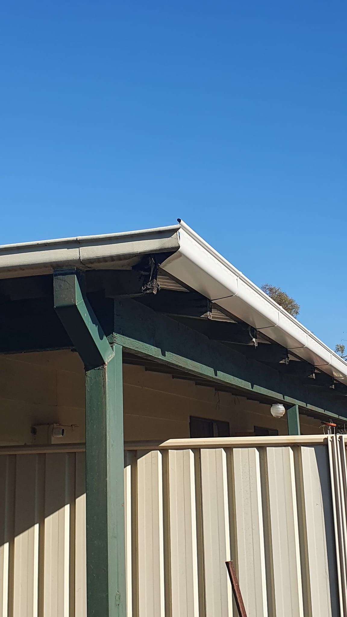 Green-framed porch with white roof against a clear blue sky. A corrugated fence is in the foreground. — The Roofer Troopers (NSW) in Howlong, NSW