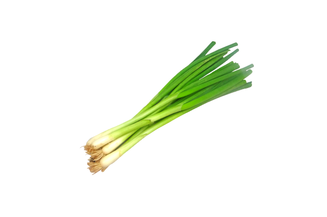 A bunch of green onions on a white background