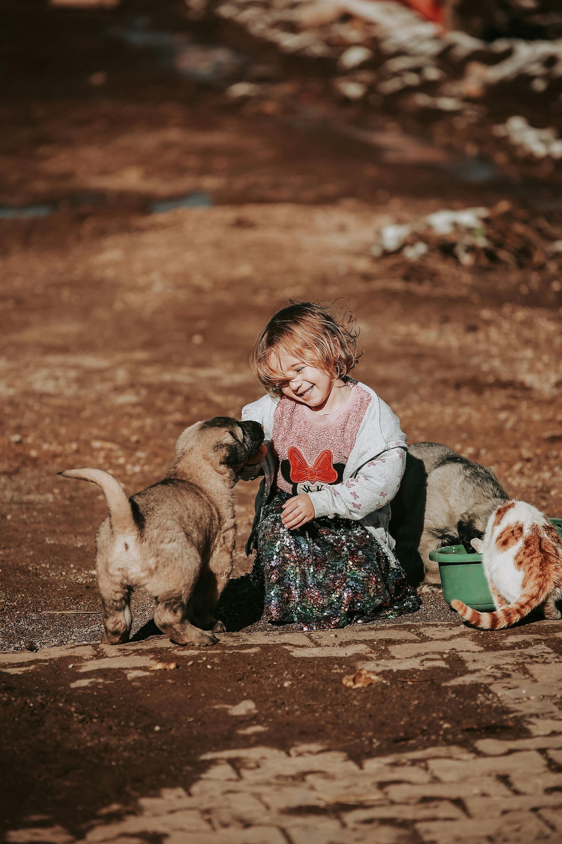 A little girl is sitting on the ground petting a dog and a cat.