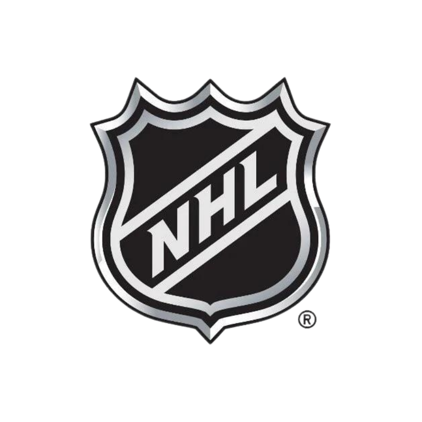 The nhl logo is a shield with the word nhl on it.