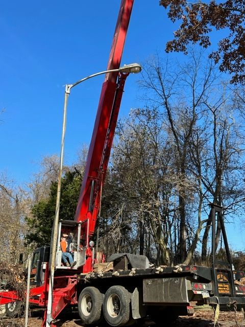 Tree Removal Pittsburgh