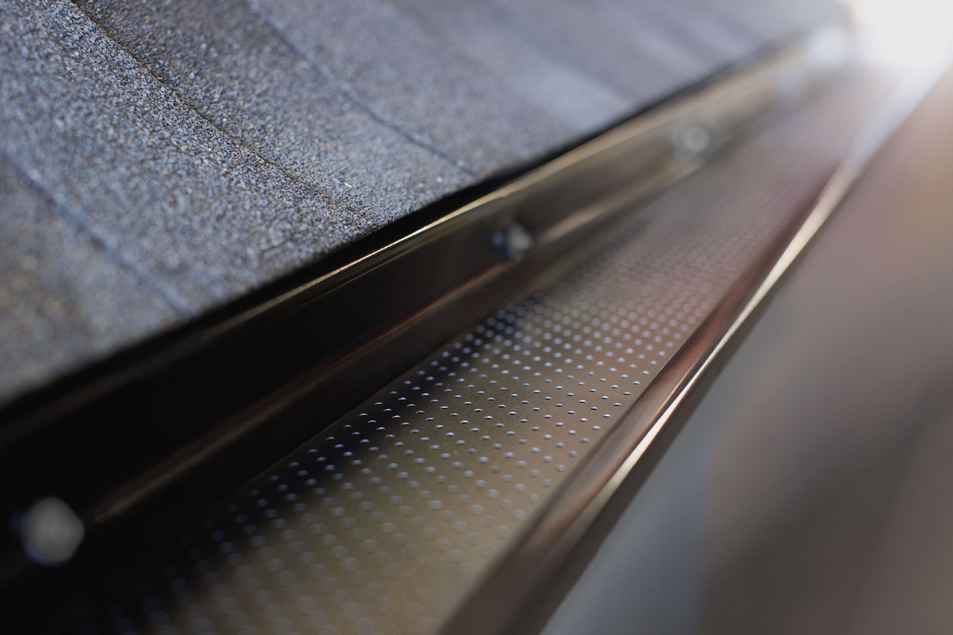 Alu Rex T-Rex gutter guard
