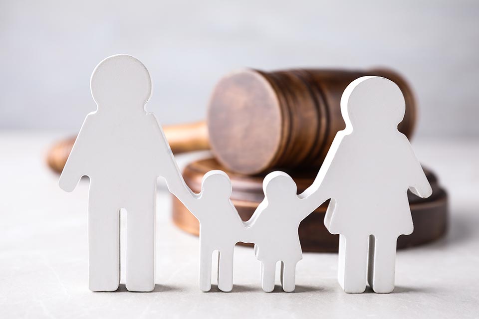 consulenza in materia di diritto di famiglia