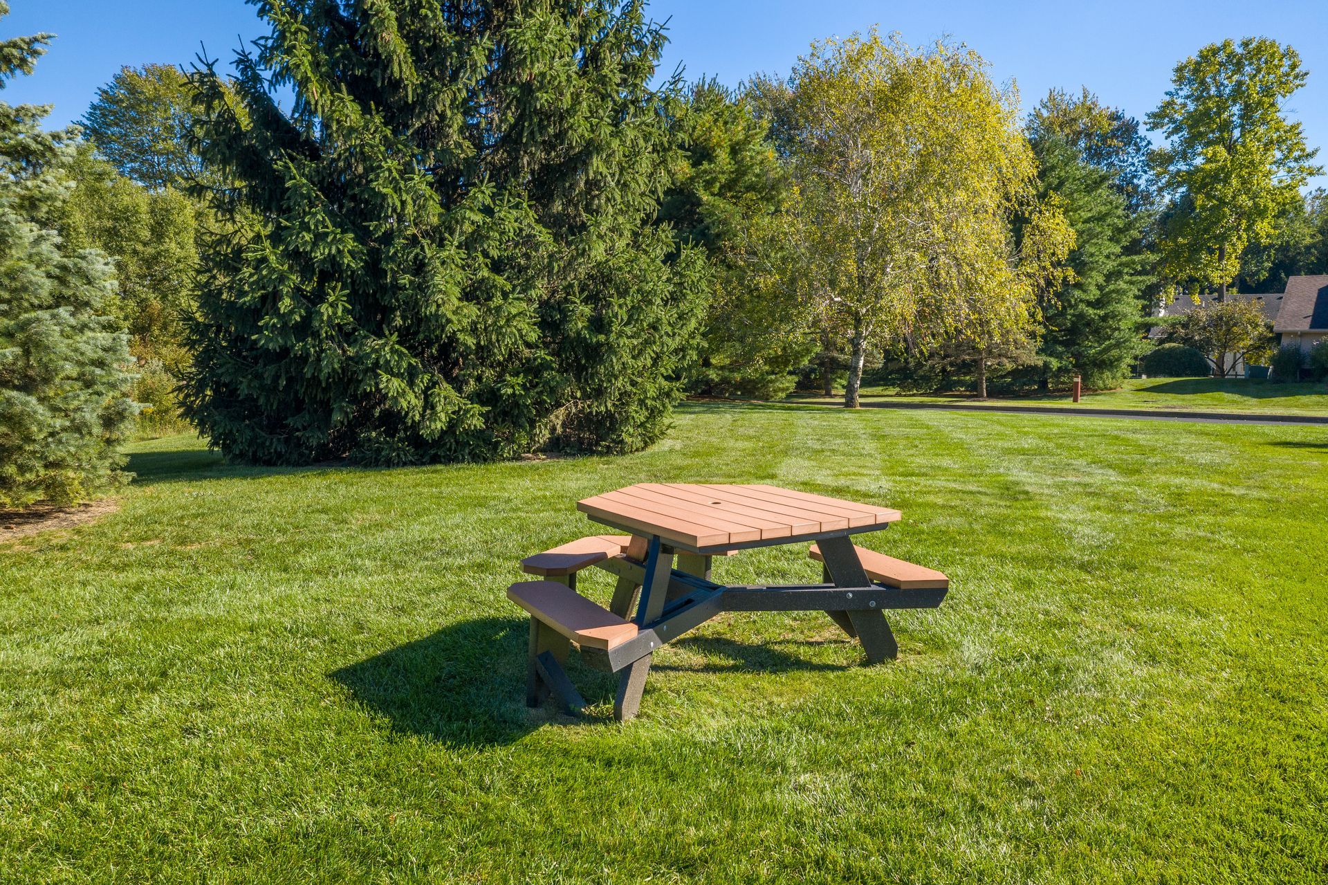 A brown and black octagonal picnic table sits on a green lawn, surrounded by trees.