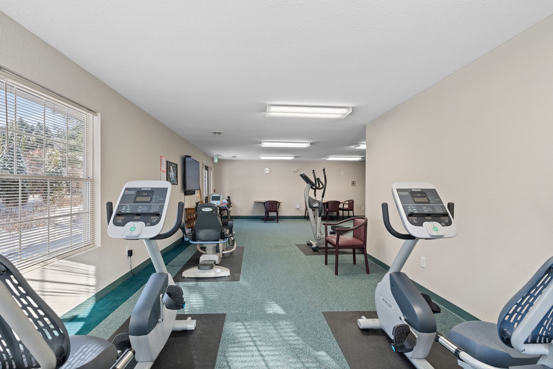 Photo of a part of the gym with plenty of natural light