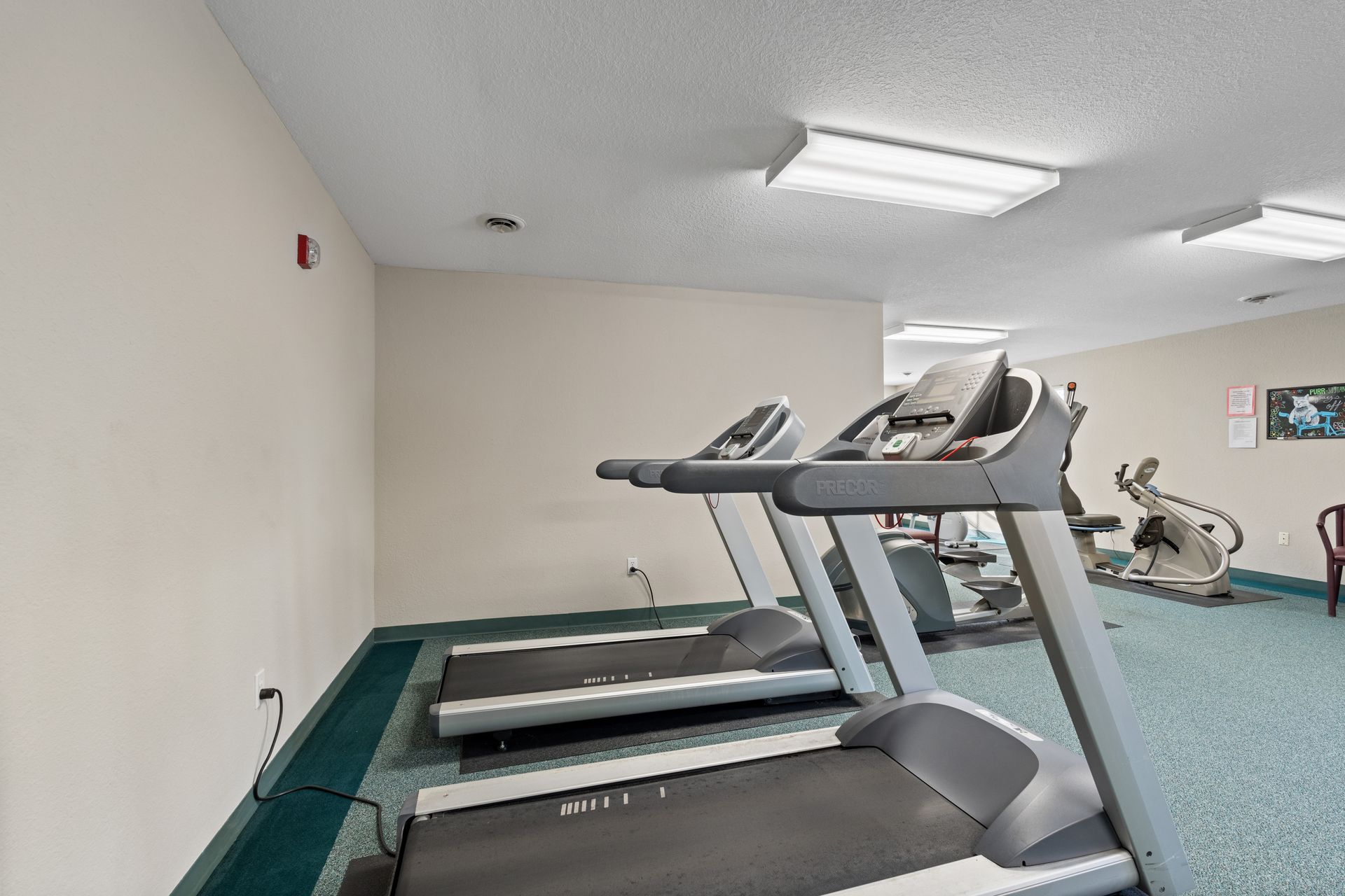 Photo of a couple of treadmills