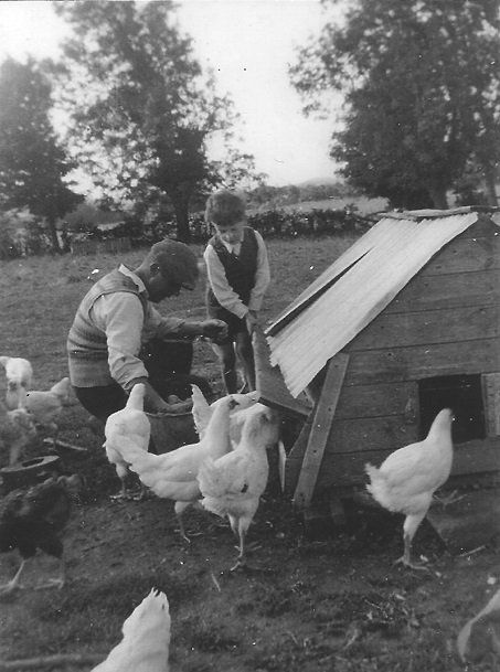Intensive farming in 1950 ( helping my Uncle James feed the hens) - Page 66