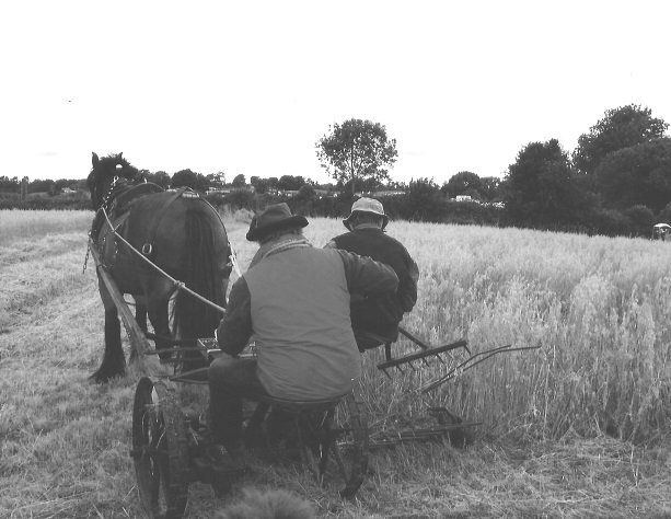 Reaper in action - Page 67 - Michael Rice