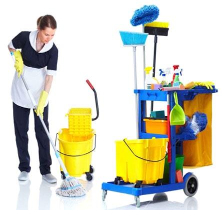 PROLIMPIEZA - servicios de limpieza