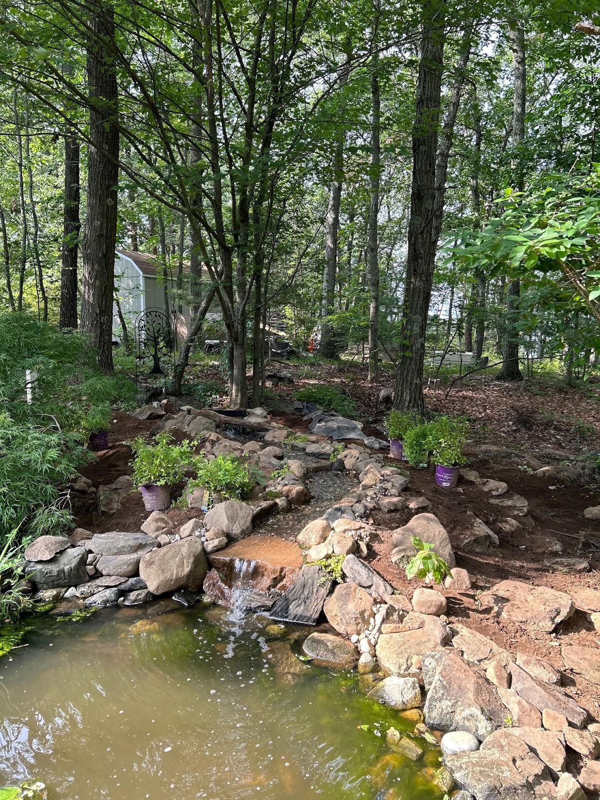 A small pond and a stream flow through a wooded area with trees and potted plants.