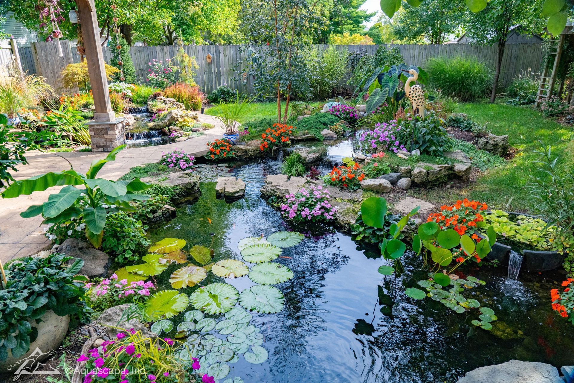 A colorful backyard pond with water lilies, flowers, and a small waterfall, surrounded by green grass and plants.